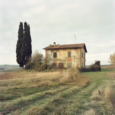 desolate