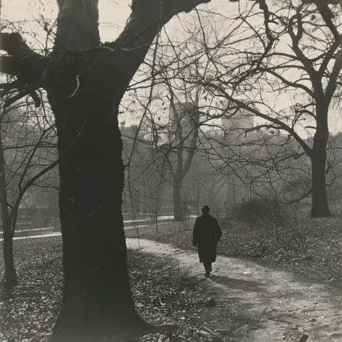 Silver-gelatine