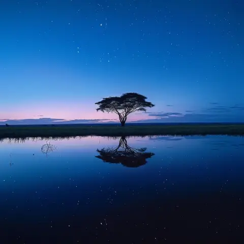 during blue hour