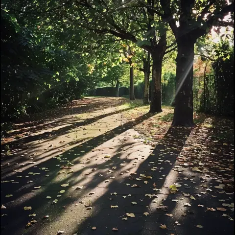 „a photo of dappled shadows cast by sunlight filtering through tree leaves on a park path“